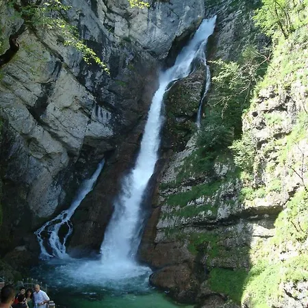 Alenka * Bohinj